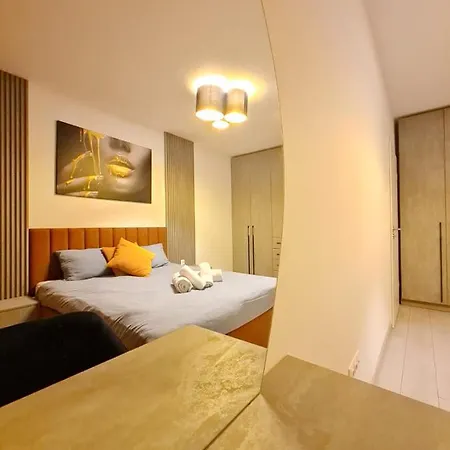 Lejlighed Skystudio Braşov
